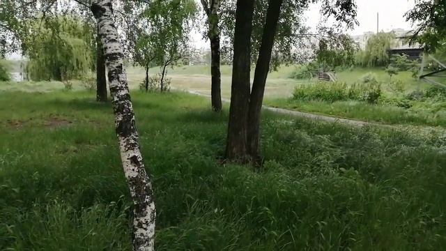Худейте как я, худейте лучше меня?.Правильные вкусности отработаем?Похудела в 56 лет на 43кг. смотреть онлайн