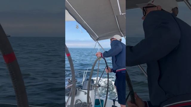 Традиционная 50-мильная гонка во Владивостоке #море #владивосток #яхтинг смотреть онлайн