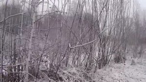 Охота на зайца в ХМАО