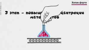 Как производится Хилак форте?