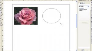 Как в Corel Draw картинку поместить в окружность?