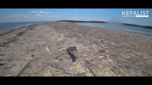 Наживка на кефаль - морской червь Нереис, лучшая прикормка на кефаль