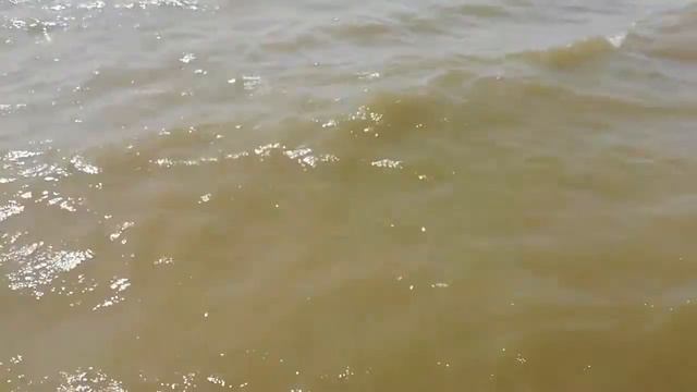 Днестровский лиман. Вид с берега Овидиополь. смотреть онлайн