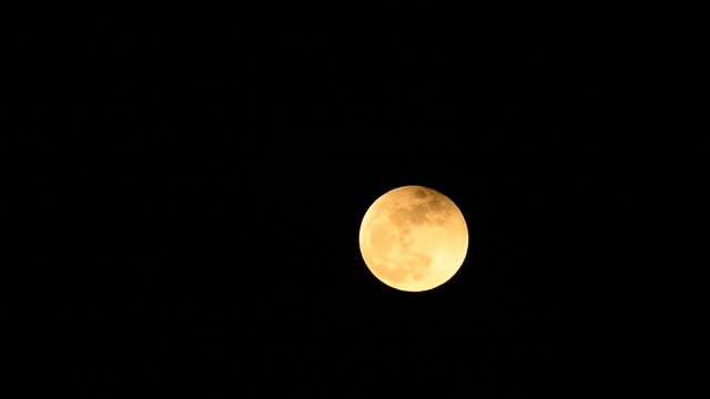 DSC_5000 смотреть онлайн