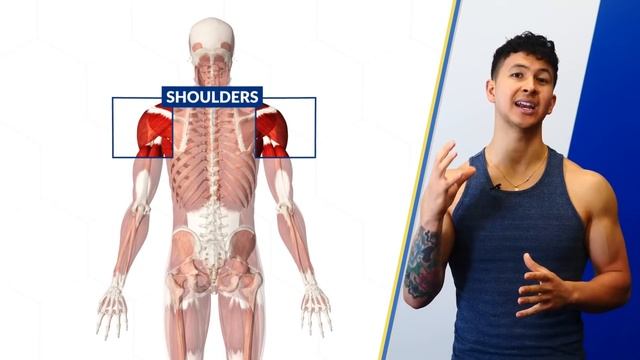 The PERFECT 5 Minute Posture Routine To Increase Your Height