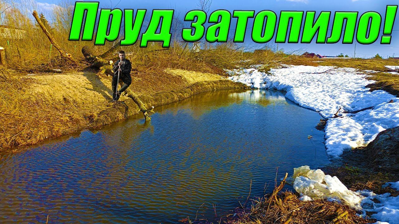 МОЙ ПРУД УТОНУЛ В ГОВНЕ! Пруд в апреле! Половодье! смотреть онлайн