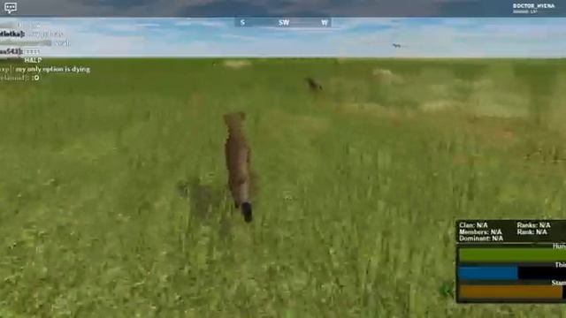 Spotted Hyenas eat Plains Zebra alive! | Roblox: Wild Savanna/Testing(A) смотреть онлайн
