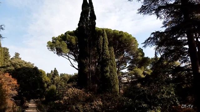 Крым. Массандровский парк. Розы смотреть онлайн