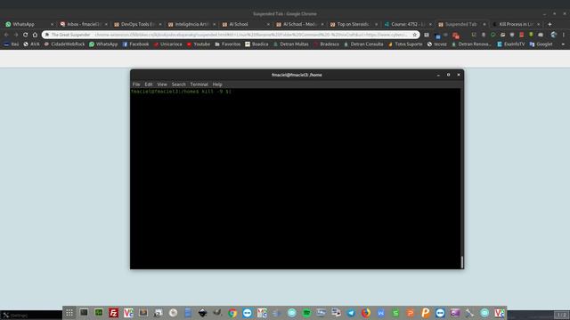 4 Example Kill Process on Linux - 4 maneiras de Matar Processos no Linux смотреть онлайн