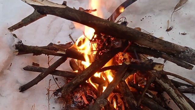 Поход в лес, жарю сало на костре. Зимний лес! смотреть онлайн