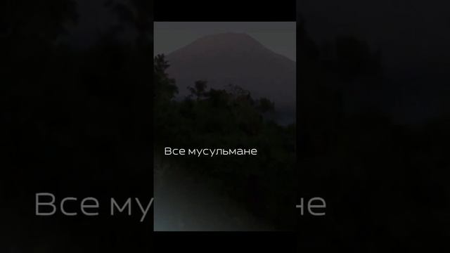 Во времена АБУ БАКРА (да будет доволен им Аллах) | #quran #islam #религия #напоминание смотреть онлайн