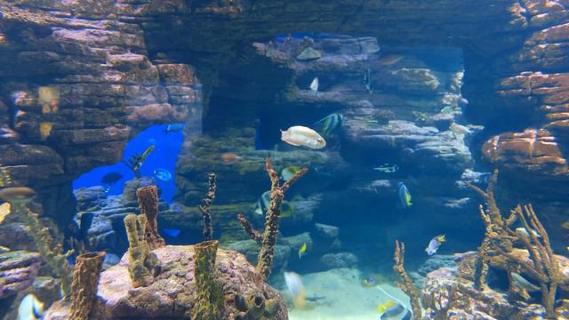 video relaxation for deep relaxation and stress relief and sleep смотреть онлайн