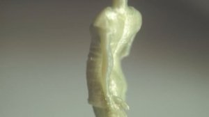 3д-печать: Диаметр сопла - 0.2мм 0.4мм 0.8мм