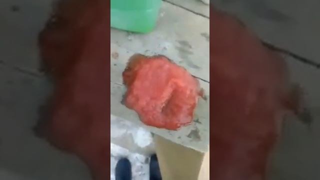 Мороз -35°в алматы и авто-жидкости. смотреть онлайн