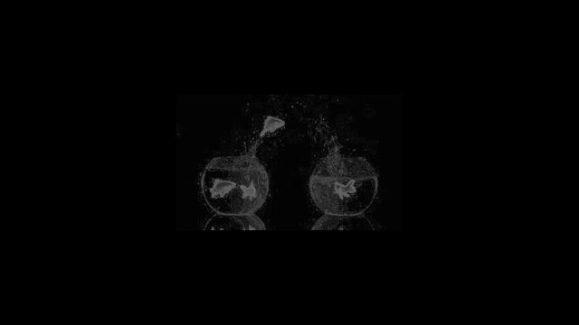 Иммиграция и эмиграция: в чем разница