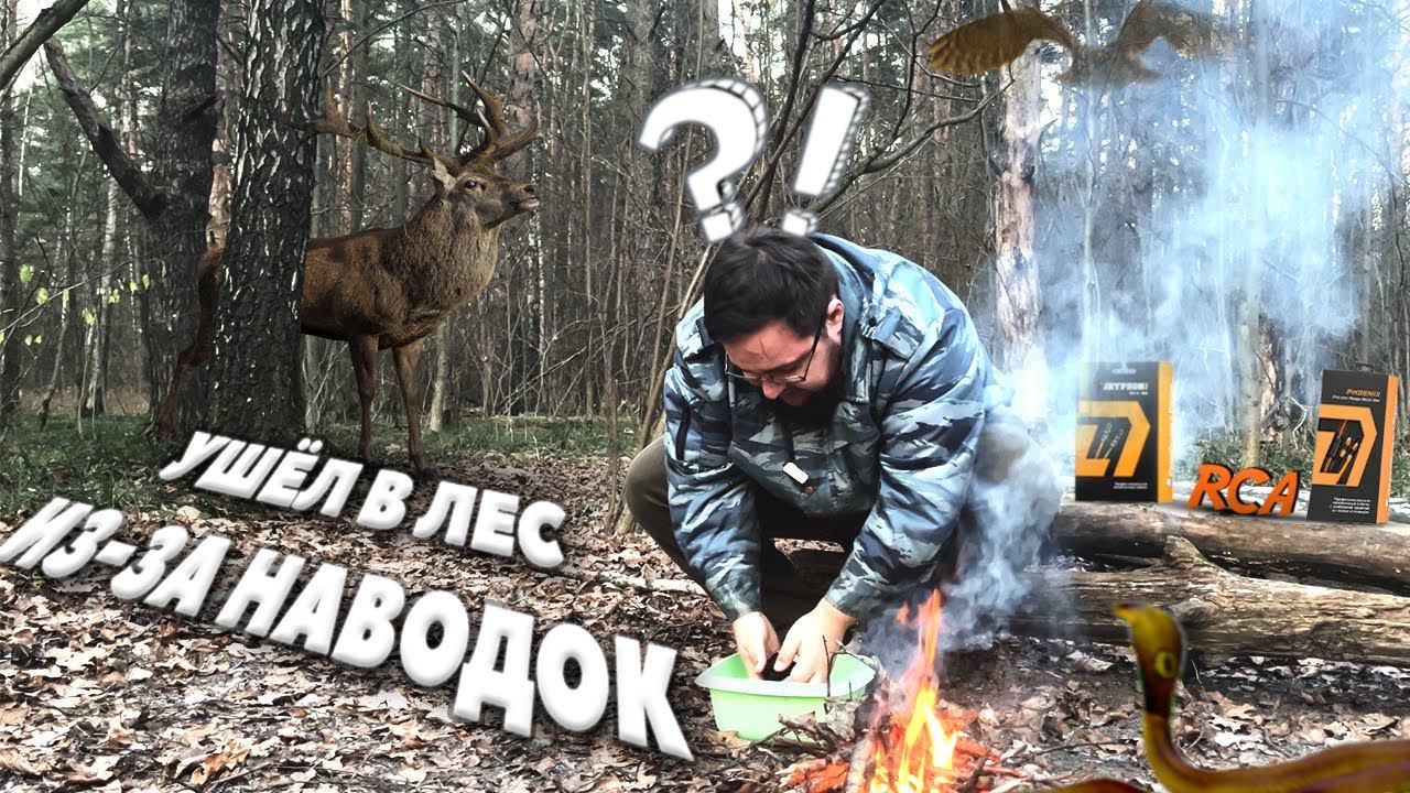 КАК УБРАТЬ НАВОДКИ?! RCA DLAudio Gryphone Pro и Phoenix Ferrite Rings #DlAudio