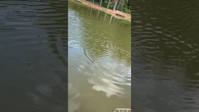 Ловись рыбка большая и маленькая смотреть онлайн