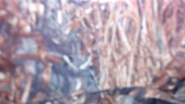 Никита поймал судака, база 