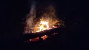 Бровченко// К чему готовятся? //Что происходит с Аней//Обзор видео//