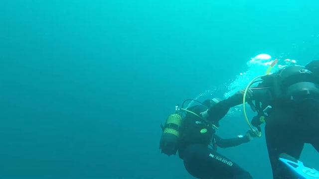 San Vicente dive with french yachties смотреть онлайн