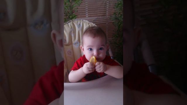 Как ребёнку нравится лимон 🍋 😋 смотреть онлайн