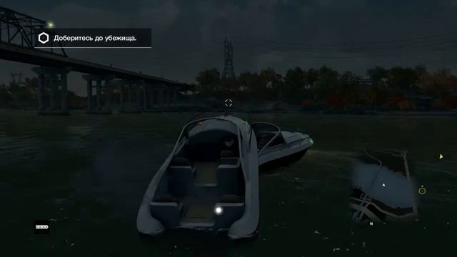 Спаривание катеров в дикой природе :3