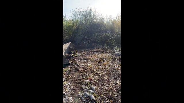 Комплексная расчистка участка. 7 соток. смотреть онлайн