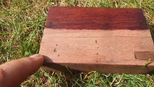 Тик или нет 2 Красное дерево. смотреть онлайн