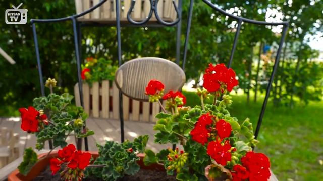 Садовые подставки под цветы Хитсад