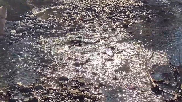 ТЕСТ ЖИЗНЬ В ГЕРМАНИИОТВЕТЫ НА ВОПРОСЫ НА РУССКОМ ЯЗЫКЕORIENTIERUNGSTESTLEBEN IN DEUTSCHLAND