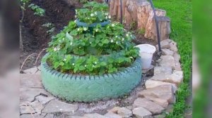 ТОП 50 идей для сада и огорода своими руками !