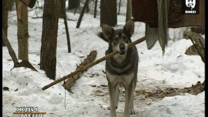 Жди Меня 04.03.2002