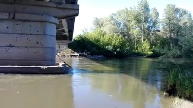 Утренняя рыбалка на микро озере и на речке под мостом. смотреть онлайн