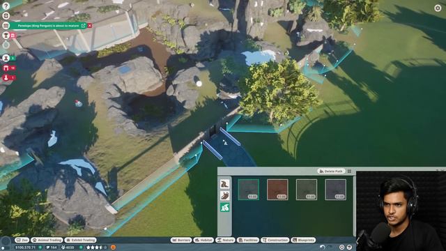 GRAY SEAL | PLANET ZOO GAMEPLAY #27 смотреть онлайн