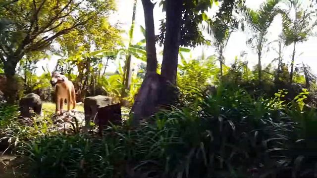 День 3. Завтрак в отеле Дон Муанг. Посещение Сиам Парка. 29. 12. 18г. смотреть онлайн