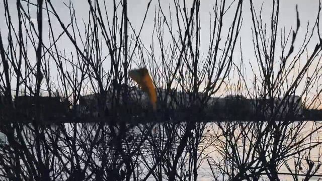 VID 20221031 164706 Где ты, не знаю совсем... 2020 Павел Васильев Лахтинский смотреть онлайн