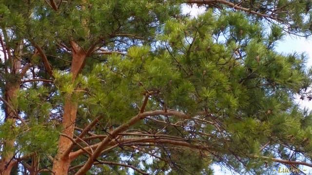 013 смотреть онлайн