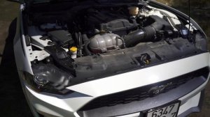 Ford Mustang Ecoboost 2.3 - Надежность, проблемы, обзор, автообзор, тест драйв