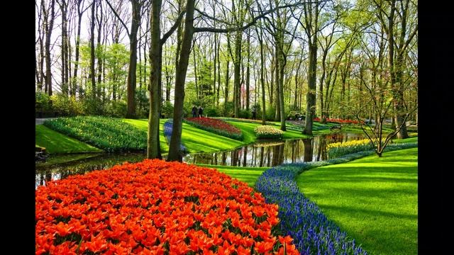 Расслабляющая музыка, парк ручей. смотреть онлайн