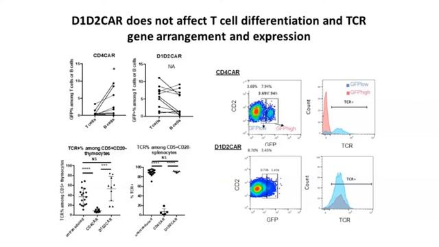 Robust CAR-T Memory Formation and Function via Hematopoietic Stem Cell Delivery смотреть онлайн