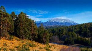 Где находятся Уральские горы на карте.  Наибольшая высота Уральских гор