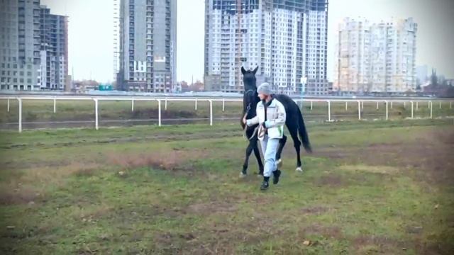 Ума - тренировка Gonna fly now смотреть онлайн