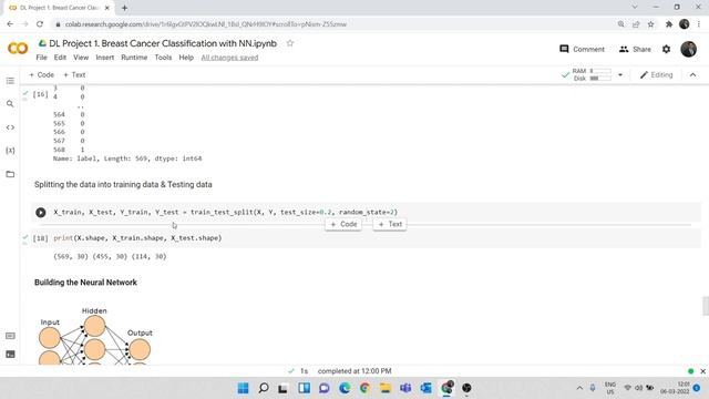 DL Project 1. Breast Cancer Classification with Neural Network | Deep Learning Projects in Python смотреть онлайн