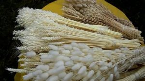 Красим колосья.Получается качественно и не дорого.