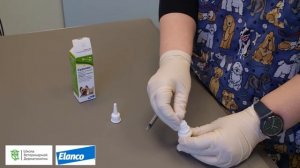 Как закапать ушные капли собаке