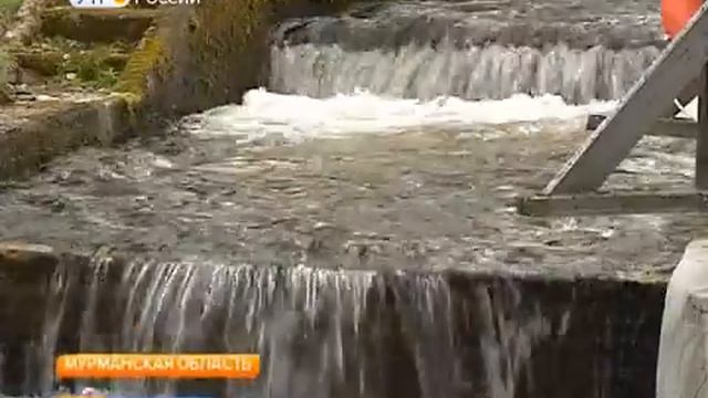 Из-за высокого уровня воды в Коле специалисты продлили сроки мониторинга нерестовых рек лосося смотреть онлайн