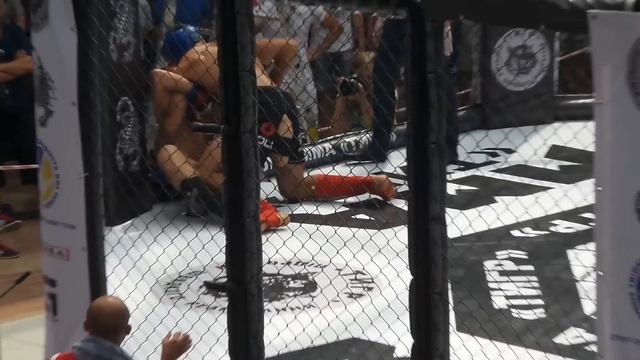 Бой за выход в финал против румына смотреть онлайн