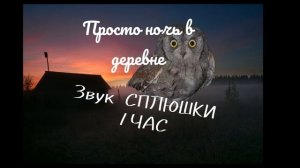 Пение Сплюшки птицы | 1час | ночь в деревне часовая версия