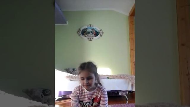 Настільна гра ZOO. смотреть онлайн