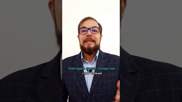 Страх голода провоцирует человека на переедание и опасен для фигуры. Три способа его убрать смотреть онлайн